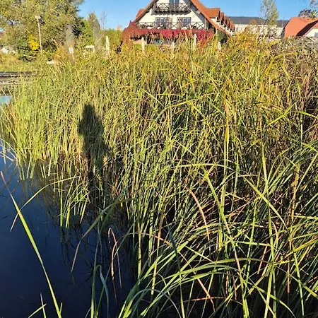 Rybaczowka - Noclegi, Restauracja, Port Bogaczewo (Gizycko)