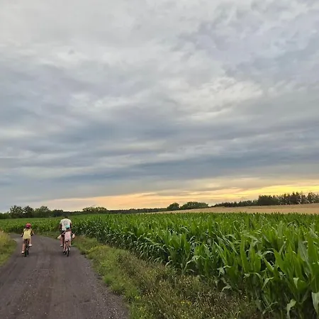 Rybaczowka - Noclegi, Restauracja, Port Bogaczewo (Gizycko)