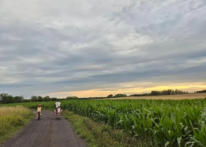 Rybaczowka - Noclegi, Restauracja, Port 波加茨泽沃